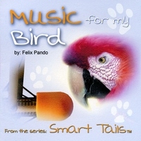 Birds Music